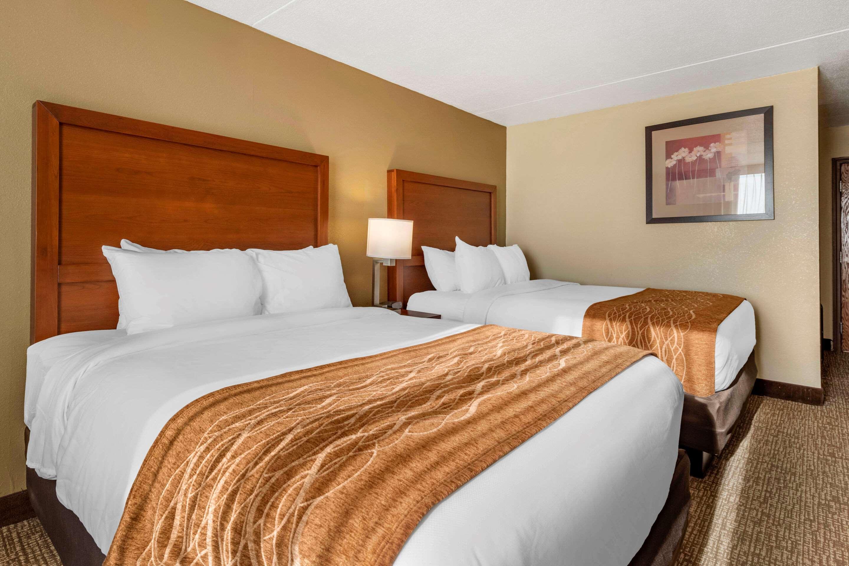 Comfort Inn & Suites Triadelphia Esterno foto